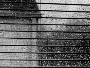 Raindrops