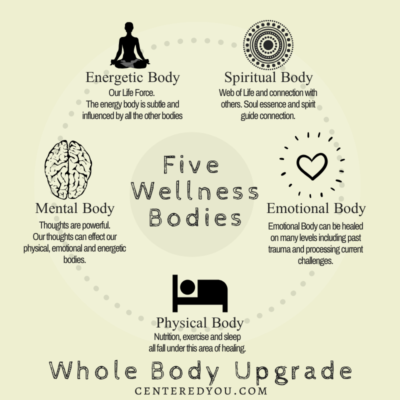 5 Wellness Bodies